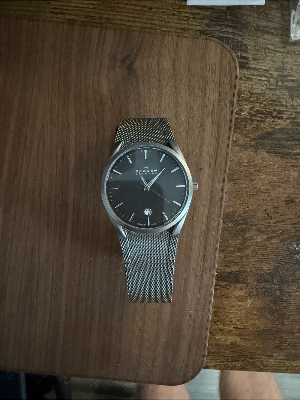 Skagen Everyday Wear Titanium Watch